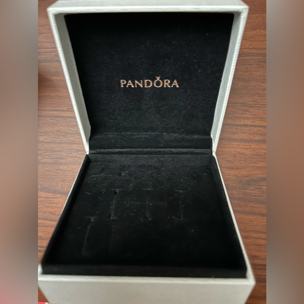 Large Pandora Jewelry Box
